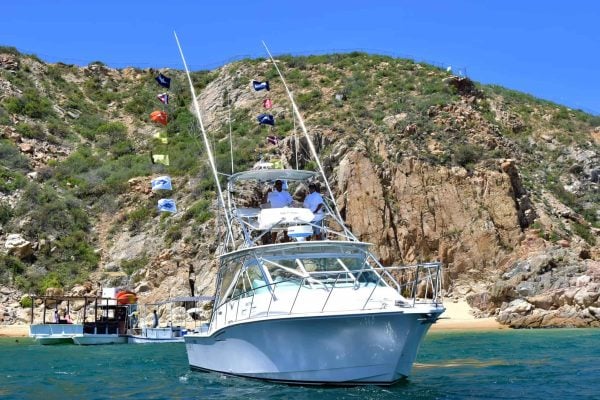 35ft Big Papi - 6 Anglers - Image 3
