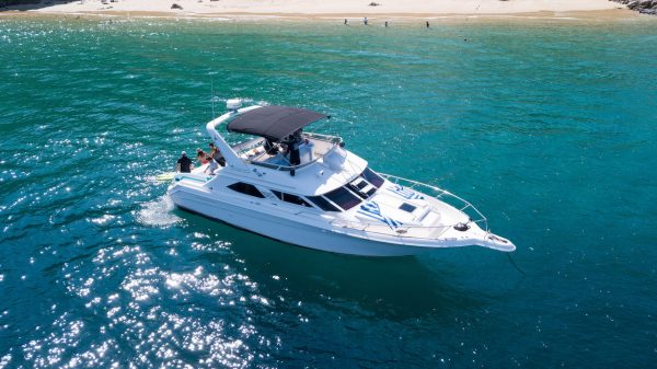 44ft El Papas - 8 Anglers - Image 3