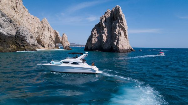 44ft El Papas - 8 Anglers - Image 7
