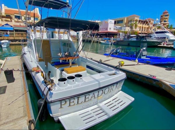 28ft Peleador I - 4 anglers - Image 2