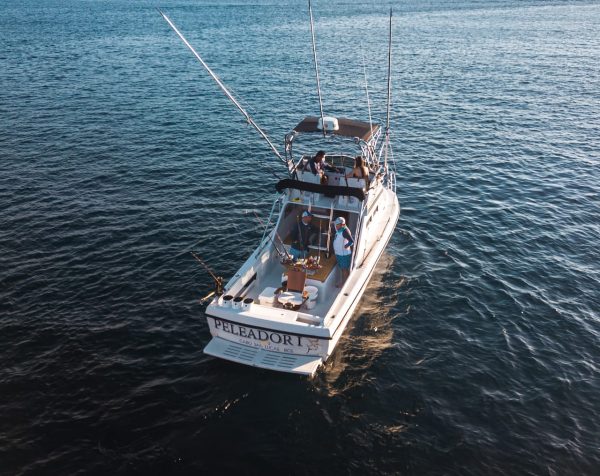 28ft Peleador I - 4 anglers - Image 4