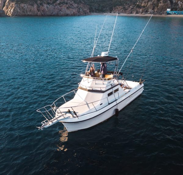 28ft Peleador I - 4 anglers